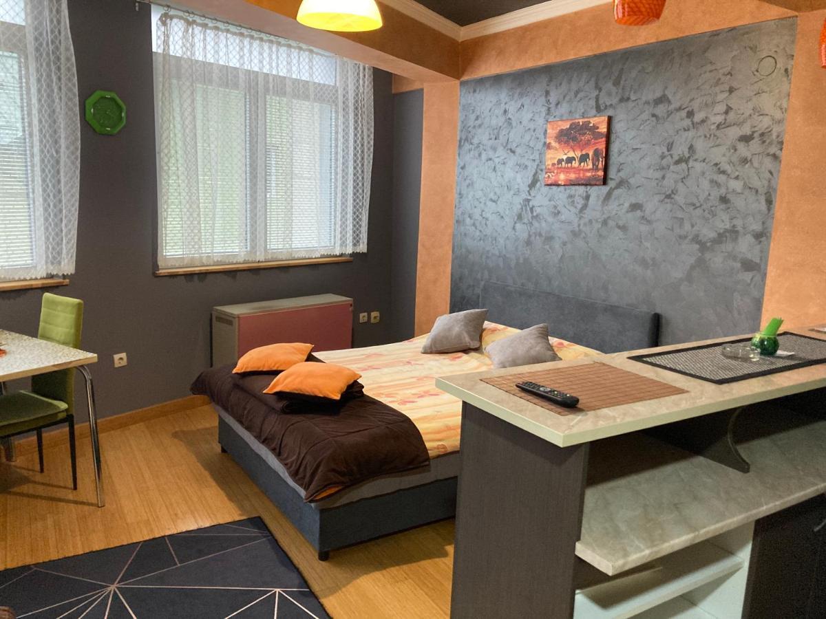 Nova Varoš Apartman Aischa מראה חיצוני תמונה